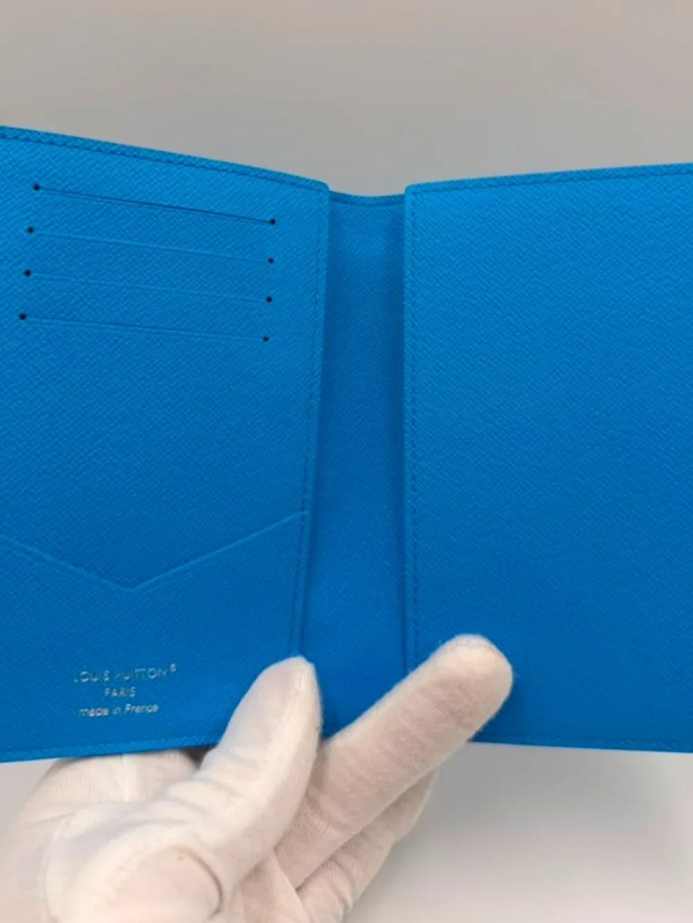 LV Passport Cover — Taigarama Blue Swimmers